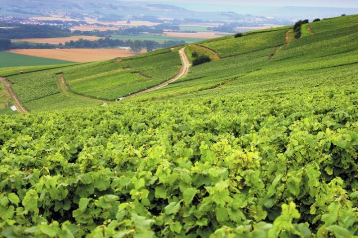3 ou 4 jours Hostellerie du Mont Aimé & Dames de Champagne *** 